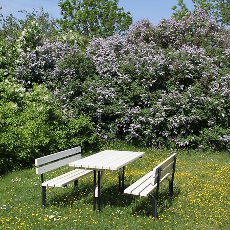 Klockaregarden I Hoegsrum Hogsrum Εξωτερικό φωτογραφία