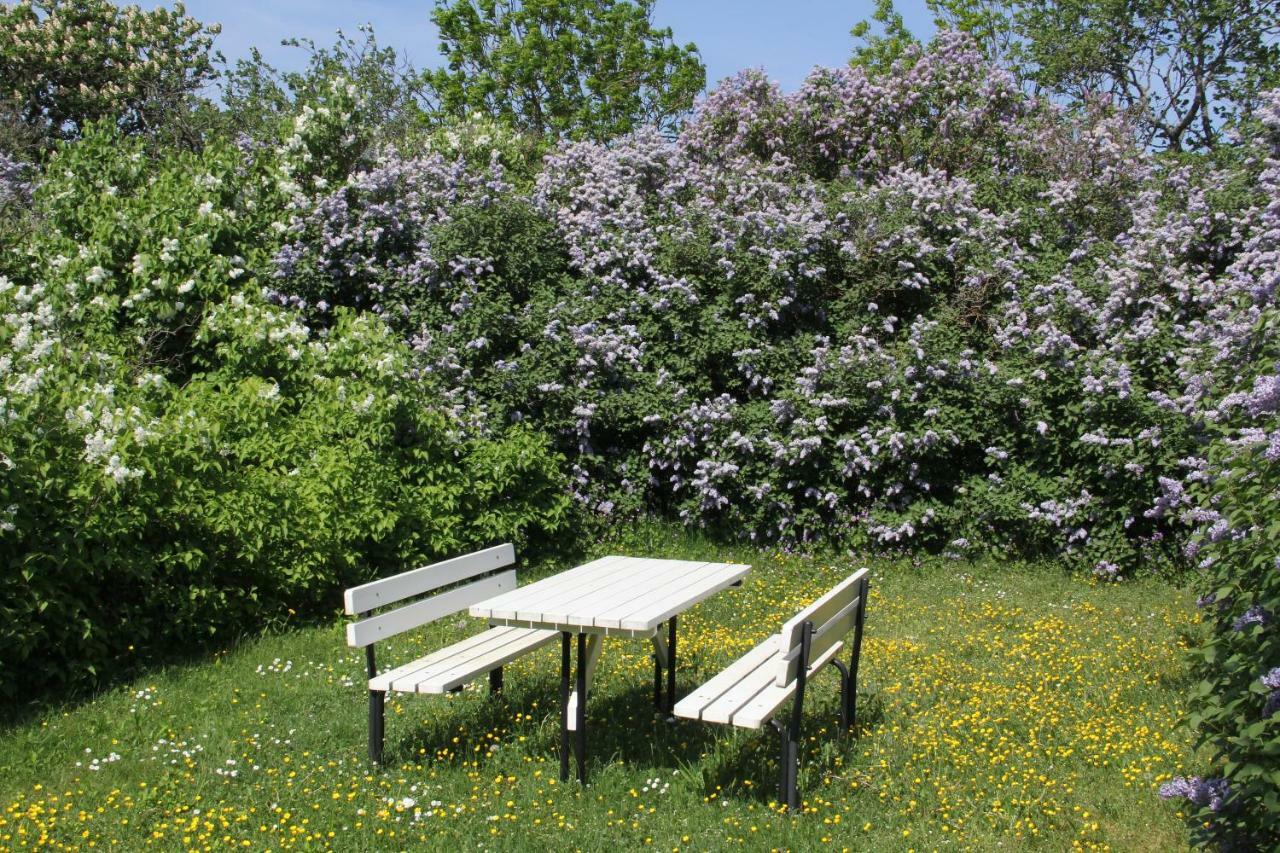 Klockaregarden I Hoegsrum Hogsrum Εξωτερικό φωτογραφία